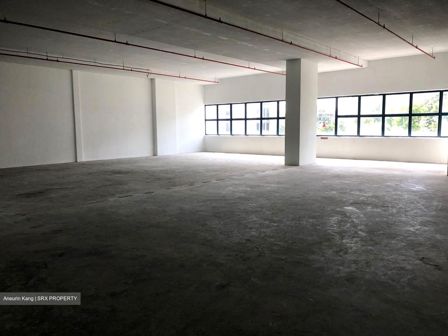 Loyang Industrial Estate (D17), Factory #288476751